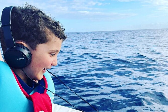 Whale Dream ltd - Whales watching and swim with dolphins - The wildlife menu off Mauritius’ west coast (what you might see)