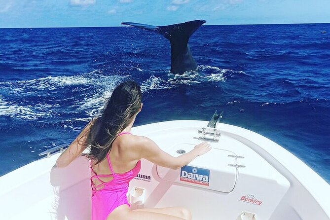 Whale Dream ltd - Whales watching and swim with dolphins - Snorkeling and board extras: the comfort upgrades that make it feel easy