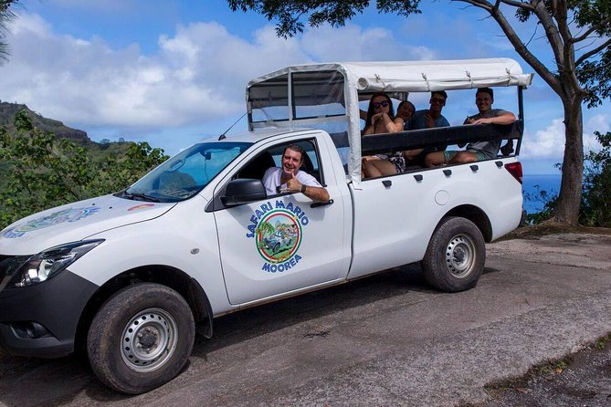 Whale Tour - Observe and swim with whales - Stop One: Whale Spotting Around Moorea (Plus Sharks and Dolphins)