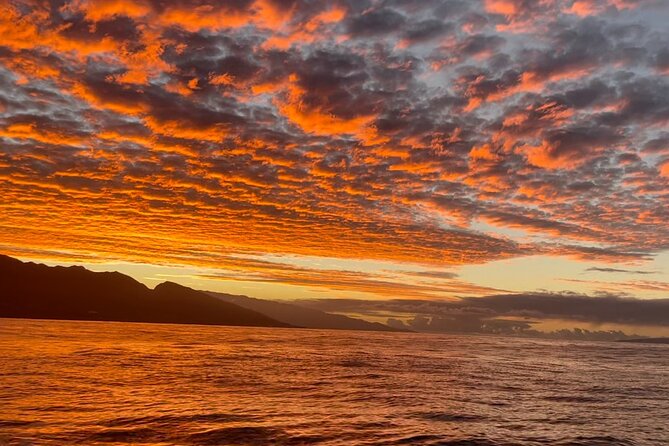 Whale Watch and Scenic Tour from Kayak - Meeting at Olowalu Beach: where the tour starts and the vibe kicks in