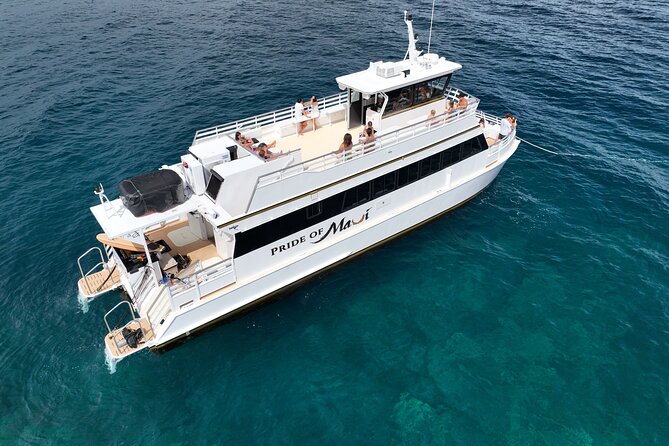 Whale Watch and Turtles Snorkel - Whale Watching From a Spacious Maxi Catamaran