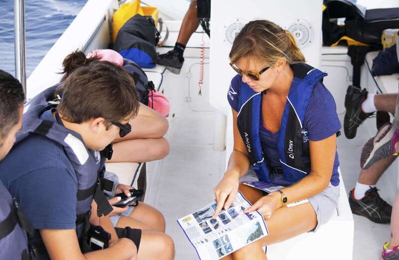 Whale Watch Cabo: Zodiac Whale Adventure - FREE Photos - Searching for Humpbacks (and Other Wildlife) Like It Matters
