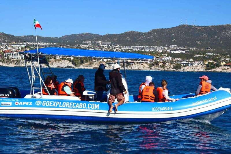 Whale Watch Cabo: Zodiac Whale Adventure - FREE Photos - What “Non-Invasive” Looks Like in Real Life