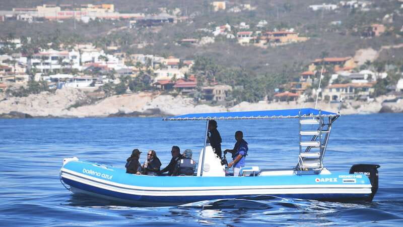 Whale Watch Cabo: Zodiac Whale Adventure - FREE Photos - The Route Out: Pelican Rock, Lovers Beach, and the Arch