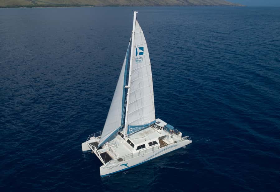 Whale Watch Sail Ma'alaea - Listening for whale songs: the hydrophones angle most tours skip