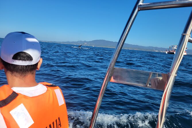Whale watching 3 hours in Puerto Vallarta - What’s included (and what you should verify in your head)