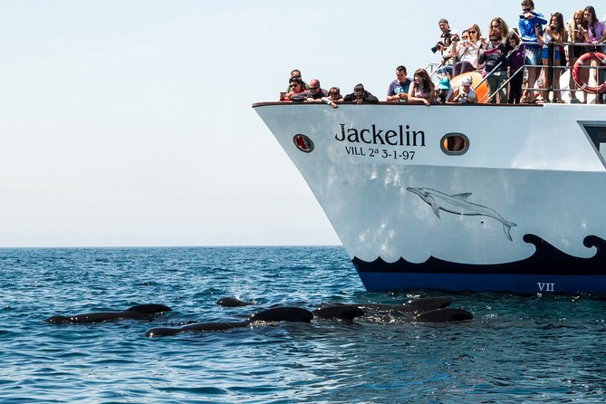 Whale Watching - Getting to the boat: OCEANO Dive and Surf meeting point