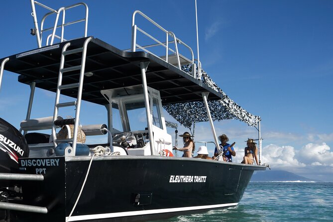 Whale Watching Activity - The 3-hour plan (morning or afternoon) and what it usually feels like