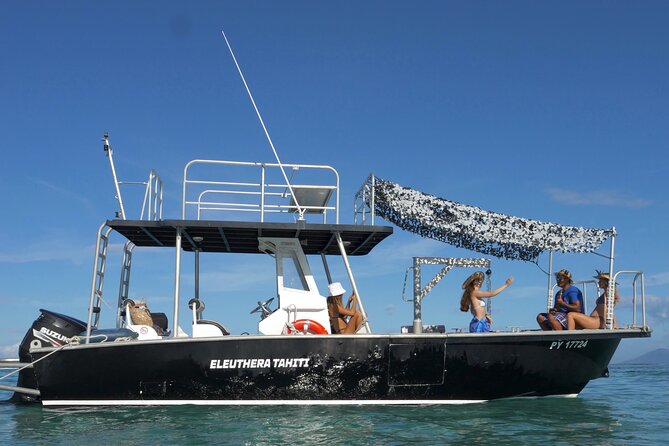 Whale Watching Activity - Marina Taina meeting point: the start of your day at sea