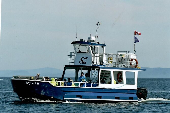 Whale Watching Adventure from Vancouver BC - Who should book this whale watching trip