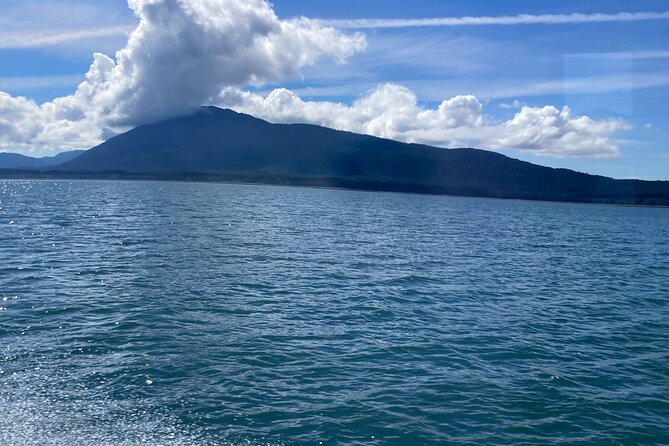 Whale Watching Adventure in Juneau - Pricing and Value: Is $154 Worth It?