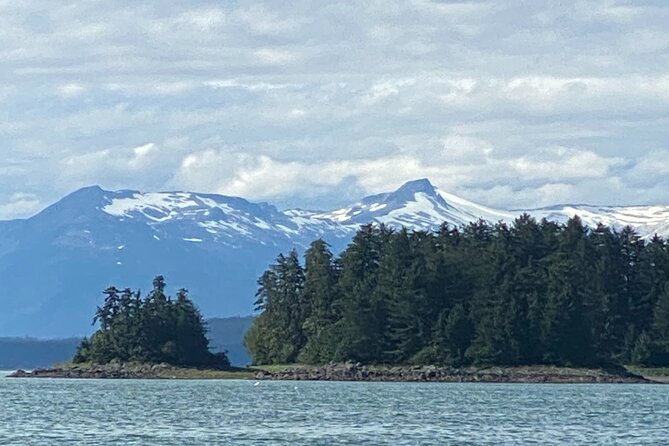 Whale Watching Adventure in Juneau - Who Should Book This Whale Watching Adventure?