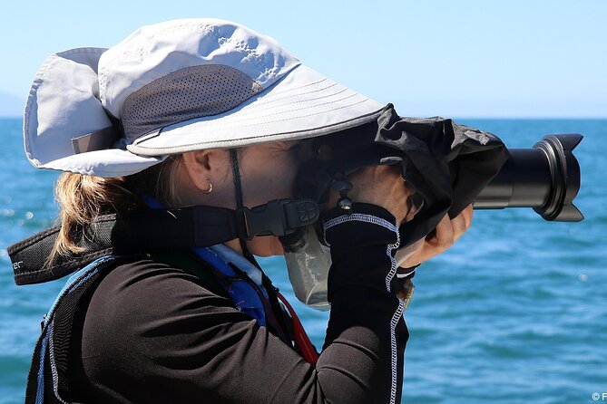 Whale Watching Adventure – Led by a Marine Biologist - Food, comfort, and motion: plan for a 3.5-hour morning