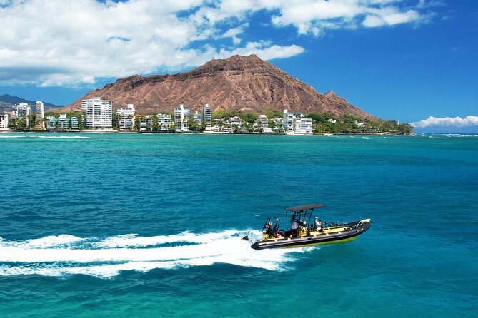 Whale Watching Adventure -Speed Boat & Small Group - Where You Start: Pier A, Slip A15, and the Kewalo Basin Launch Feel