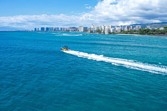 Whale Watching Adventure -Speed Boat & Small Group - Onboard Vibe, Comfort, and Snacks That Actually Matter