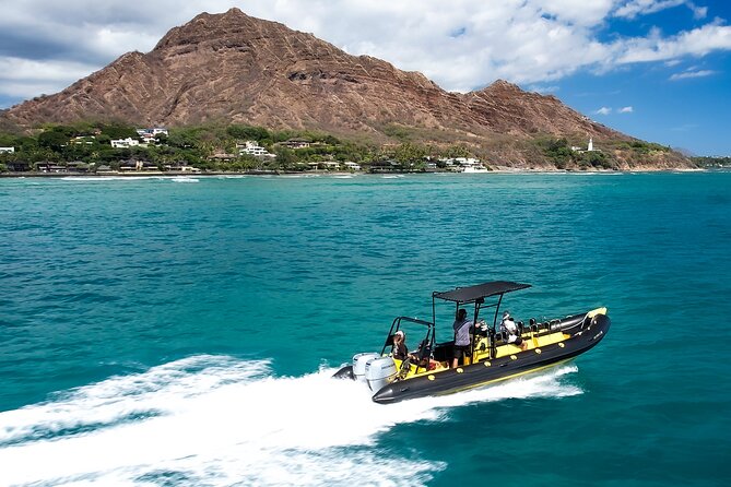 Whale Watching Adventure -Speed Boat & Small Group - Timing, Weather, and When to Book in Oahu