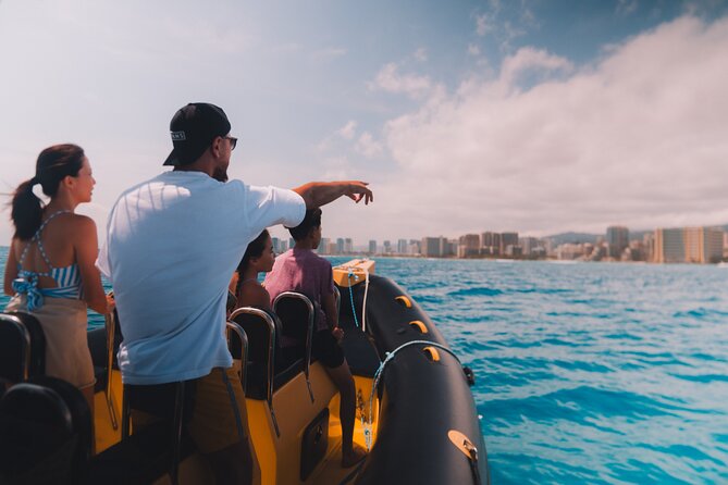 Whale Watching Adventure -Speed Boat & Small Group - Price and Value: Is $105 Worth It?