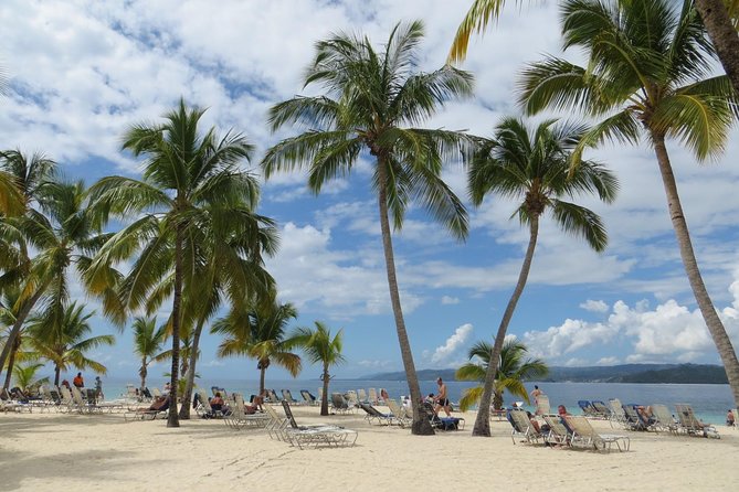 Whale Watching and Bacardi Island day trip from Punta Cana - Group Size, Comfort, and Who Will Enjoy This Most