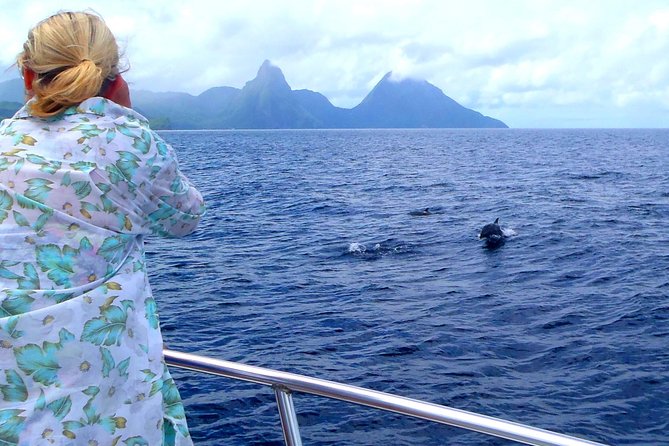 Whale Watching and Dolphin Spotting Cruise - Key things I’d bet on before you book