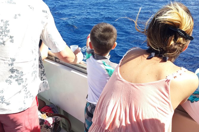 Whale Watching and Dolphin Spotting Cruise - Price and value: is $88 a smart use of your morning?