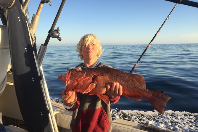 Whale Watching and Fishing Combination Excursions - How the 3-hour timing shapes your expectations