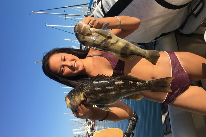 Whale Watching and Fishing Combination Excursions - Morning vs afternoon departures: choosing the right half-day