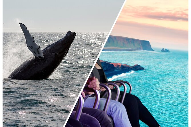 Whale Watching And Fly Over Iceland Guided Tour - Key points before you go