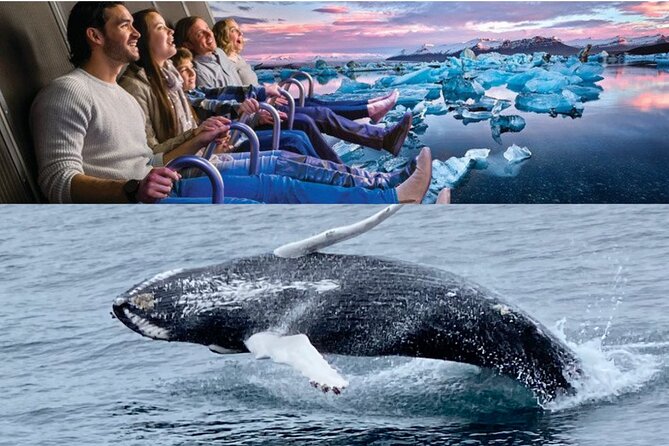 Whale Watching And Fly Over Iceland Guided Tour - FlyOver Iceland: a 360° flight that uses more than just visuals