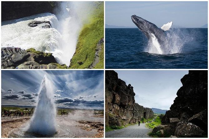 Whale Watching and Golden Circle Tour from Reykjavik - Geysir geothermal area and Strokkur: seeing planned eruptions