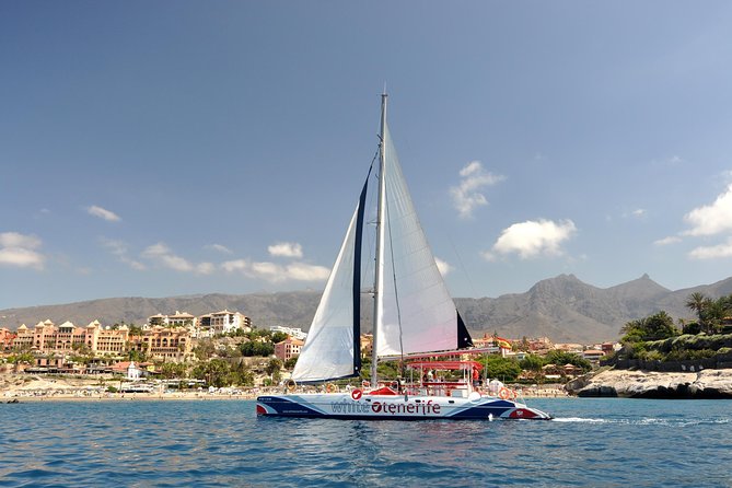 Whale Watching and Listening Eco Catamaran Tour with Food Tasting - Key things to know before you book