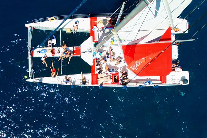 Whale Watching and Listening Eco Catamaran Tour with Food Tasting - Launching from Costa Adeje: where you start and what to expect