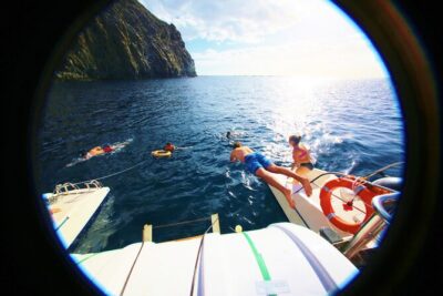 Whale Watching and Listening Eco Catamaran Tour with Food Tasting - The day’s water time: anchoring for swimming and snorkeling