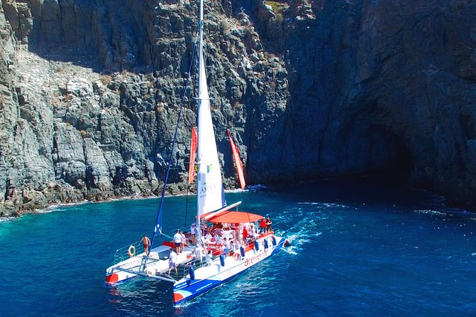 Whale Watching and Listening Eco Catamaran Tour with Food Tasting - Comfort, seating, and the hammocks question