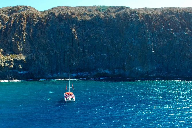 Whale watching and listening Eco-Catamaran Tour with Food Tasting - Crew, languages, and the captain names you might hear