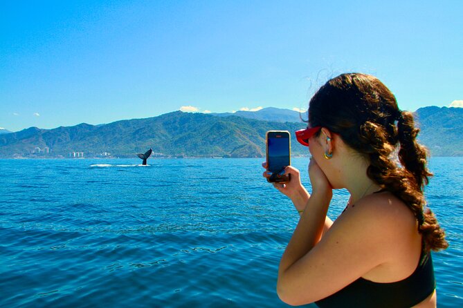 Whale Watching and Los Arcos 5 Islands Adventure - Key things to know before you go