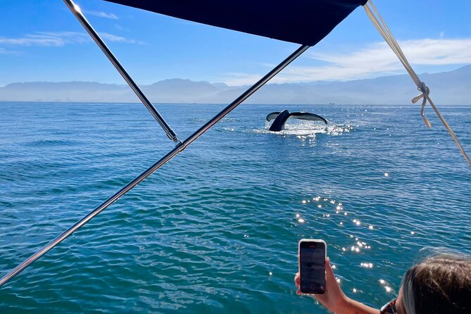 Whale Watching and Los Arcos 5 Islands Adventure - Meet at Playa Mismaloya: Mismaloya Xtreme’s on-the-sand check-in