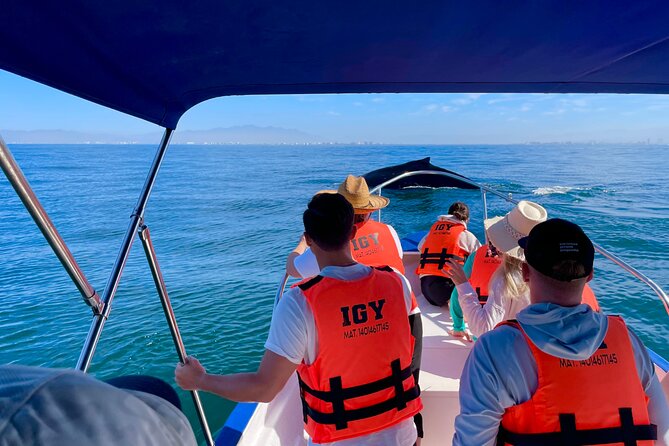Whale Watching and Los Arcos 5 Islands Adventure - Bay of Banderas whale watching: humpbacks, dolphins, and more