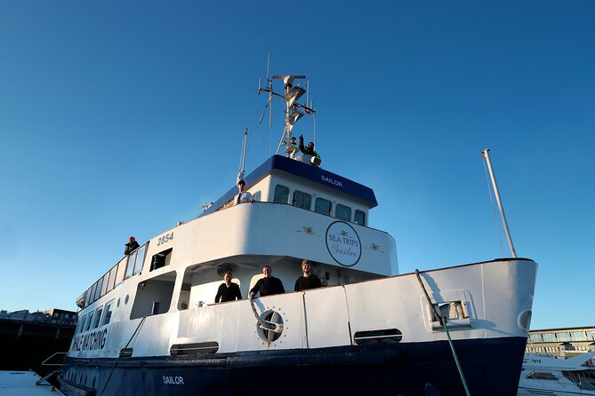 Whale Watching and Marine Life Tour in Reykjavik - Whale watching from Reykjavik’s doorstep in Faxafloi Bay