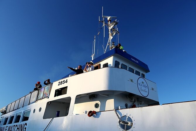 Whale Watching and Marine Life Tour in Reykjavik - Harpa and the islands: what you’re actually passing from the sea