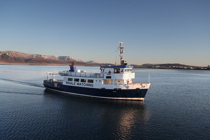 Whale Watching and Marine Life Tour in Reykjavik - The 3-hour rhythm: Old Harbour House to back again