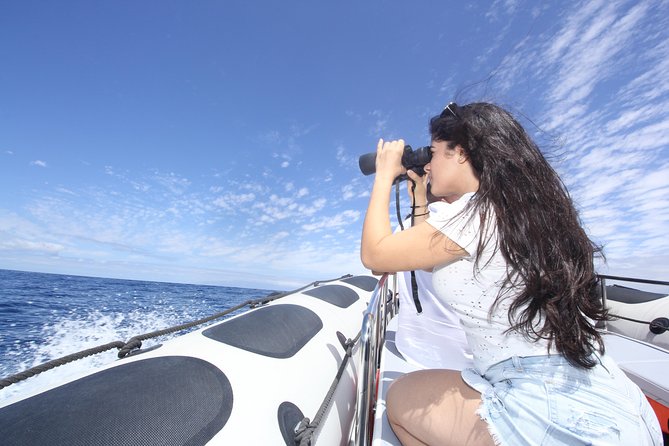 Whale Watching and Marine Science Tour - When the skies clear: El Teide views from the water