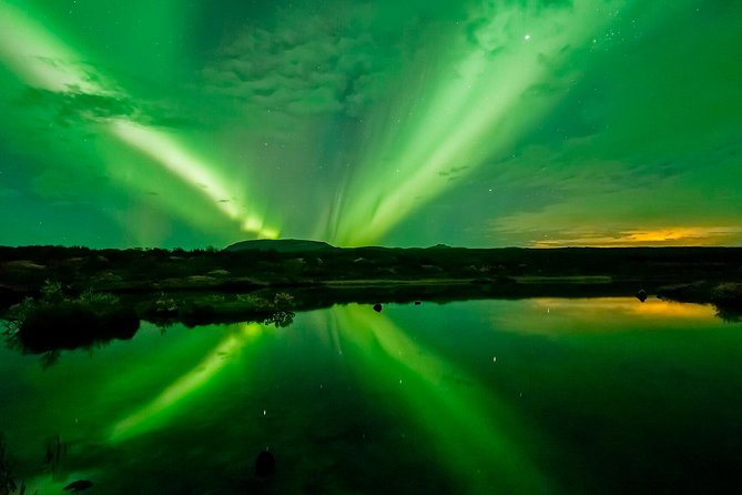 Whale Watching and Northern Lights Half-Day Combo Tour - Boat group size and how it affects your viewing