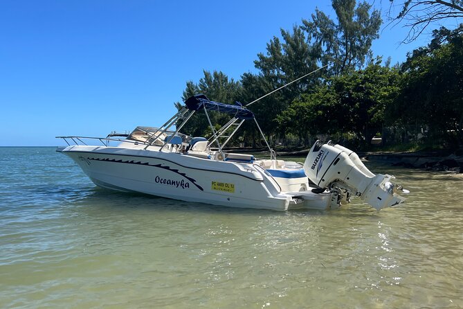 Whale Watching and Private Ocean Safari Experience in Mauritius - Why a private, oceanographer-led safari matters in Mauritius
