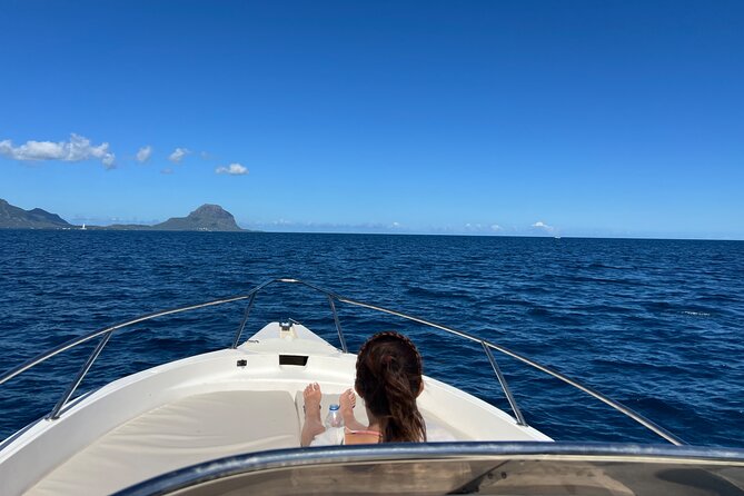 Whale Watching and Private Ocean Safari Experience in Mauritius - Price and value: when $850 feels fair for up to 6