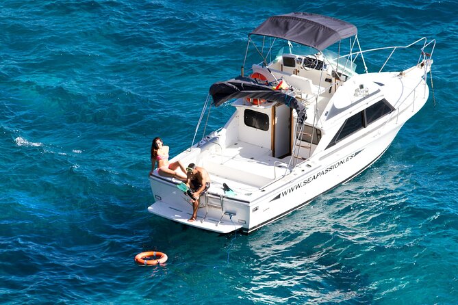 Whale watching and snorkelling in the whale sanctuary - Responsible viewing and captain-led spotting