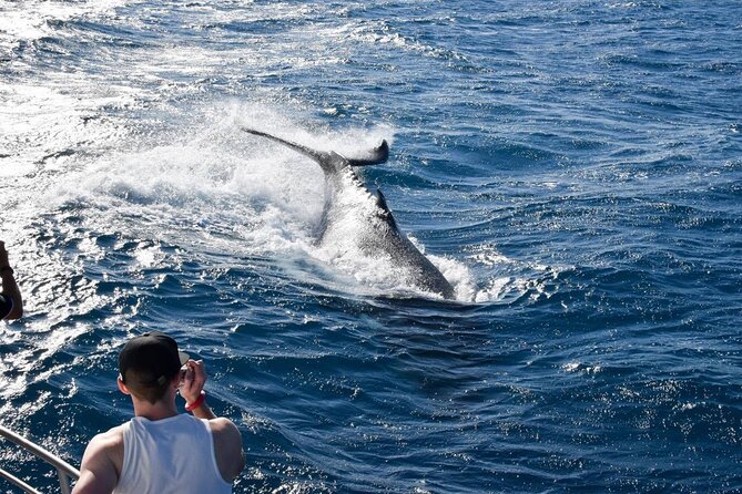 Whale Watching and Wildlife Cruise Townsville and Magnetic Island - Cape Cleveland Lighthouse: The Start That Sets the Tone