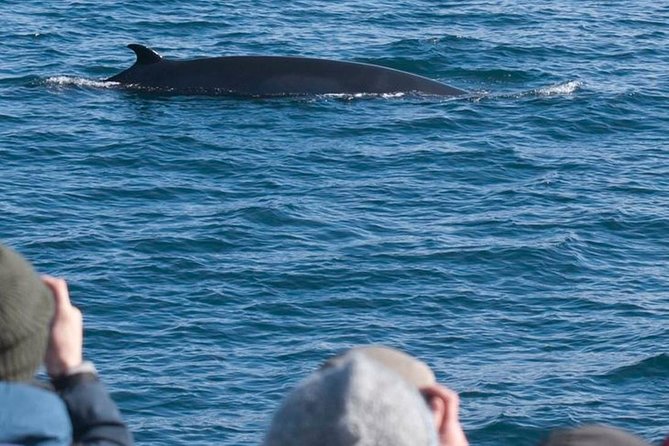 Whale Watching & ATV Adventure from Reykjavik - Quad-biking near Reykjavik: training, control, and big views