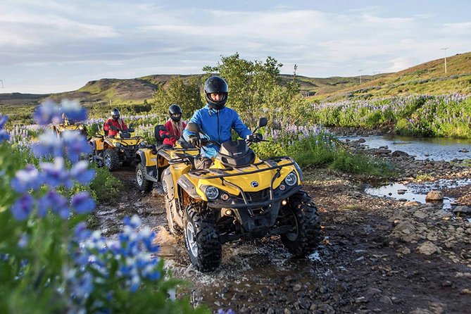 Whale Watching & ATV Adventure from Reykjavik - Who this tour fits best
