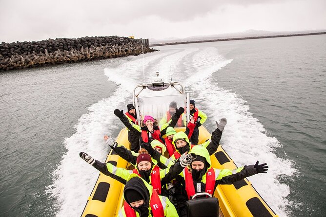 Whale Watching by RIB Speedboat from Downtown Reykjavik - Key things I’d watch for