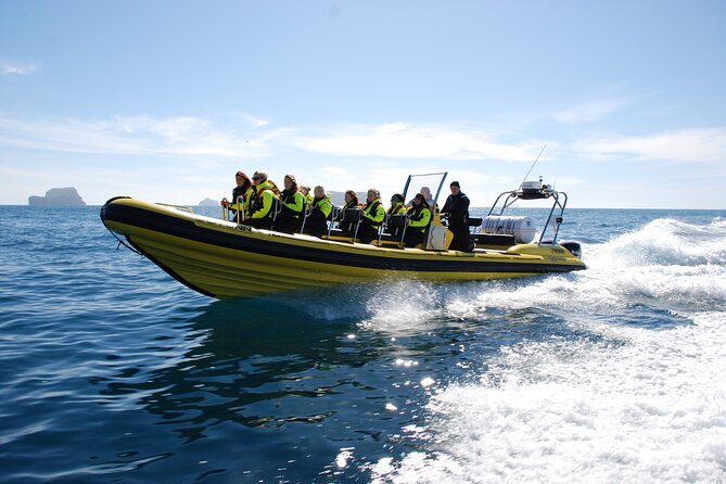 Whale Watching by RIB Speedboat from Downtown Reykjavik - Who should book this RIB whale watch?